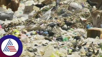 Kodagu: ಊರ ಹೆಬ್ಬಾಗಿಲಲ್ಲೇ ಗಬ್ಬೆದ್ದು ನಾರುವ ಕಸ, 15 ದಿನಗಳಲ್ಲಿ ಘಟಕ ಬಳಕೆ ಮಾಡುವುದಾಗಿ ಸಿಇಒ ಭರವಸೆ