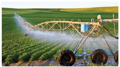 കേരളത്തിന്റെ പകുതി വലിപ്പം, പകുതിയിലധികവും മരുഭൂമി; എന്നിട്ടും കൃഷിയിൽ തിളങ്ങി ഇസ്രായേൽ 