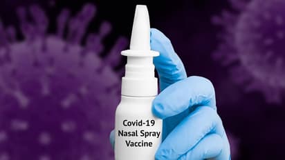 nasal vaccine do's and don'ts