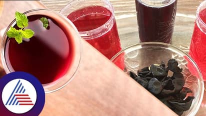 Kokum Benefits: ಪ್ರತಿನಿತ್ಯ ಇದನ್ನು ಸೇವಿಸಿದರೆ ಆ್ಯಸಿಡಿಟಿ, ಎದೆಯುರಿ ಮಾಯ