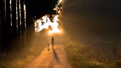 10 reasons YOU should go for morning walks