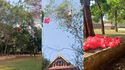 വടക്കുംനാഥ ക്ഷേത്രത്തിനുള്ളിലെ ആൽമരത്തിൽ ചെങ്കൊടി, സത്യാവസ്ഥ എന്ത് ?