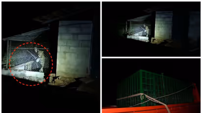 മണ്ണാർക്കാട് കോഴിക്കൂട്ടിൽ പുലി കുടുങ്ങി; കൂട് സുരക്ഷിതമല്ല, പുലി അക്രമാസക്തൻ, മയക്കുവെടി വയ്ക്കാൻ തീരുമാനം