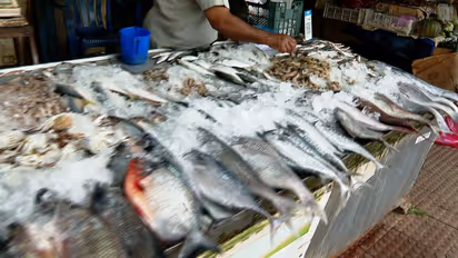 ഏറ്റുമാനൂരിൽ പിടികൂടിയ മീനിൽ രാസപദാര്ത്ഥമില്ലെന്ന് റിപ്പോര്ട്ട്; അട്ടിമറി ആരോപിച്ച് ആരോഗ്യ സമിതി അധ്യക്ഷ