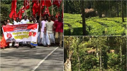 'ഡിഎഫ്ഒ യുടെ അപ്പനാണോ പടയപ്പ? അളിയനാണോ അരിക്കൊമ്പൻ?'; വനം വകുപ്പിനെതിരെ   സിപിഎം ഇടുക്കി ജില്ലാ സെക്രട്ടറി