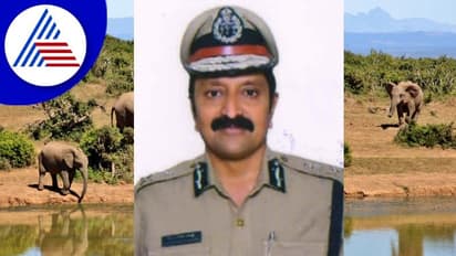 Wildlife: ಒಂದು ವರ್ಷದಲ್ಲಿ 14 ಬಗೆಯ 100 ವನ್ಯಜೀವಿಗಳ ರಕ್ಷಣೆ: ಸಿಐಡಿ