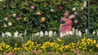 Odisha pharmacist suspended for clicking pictures with President Murmu’s chopper