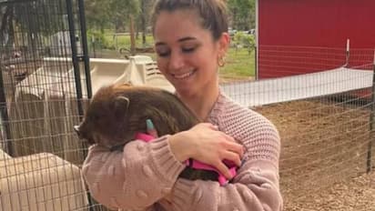 ക്യൂട്ടാണ്, സ്മാർട്ടാണ്, സോഷ്യൽ മീഡിയയിൽ താരമാണ് ഈ പന്നി