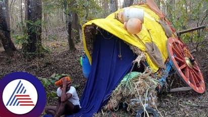 Uttara Kannada: ಚಕ್ಕಡಿಯ ಚಕ್ರ ಮೈಮೇಲೆ ಹರಿದು ಯುವಕ ಸಾವು