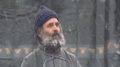 ఏ బీజేపీ నాయకుడూ జమ్మూ కాశ్మీర్‌లో ఇలా నడవలేరు.. హింసను ప్రేరేపించేవారు ఆ బాధను అర్థం చేసుకోలేరు: రాహుల్ గాంధీ