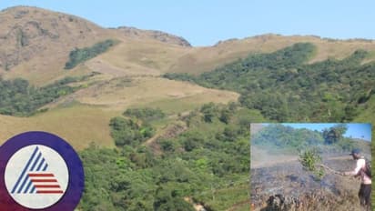 ಅರಣ್ಯ ಇಲಾಖೆಗೆ ಕಾಡ್ಗಿಚ್ಚು ಆತಂಕ: ಬೆಂಕಿ ಹರಡುವಿಕೆ ತಡೆಗೆ ಹಳೆಯ ಅಸ್ತ್ರವೇ ಗತಿ