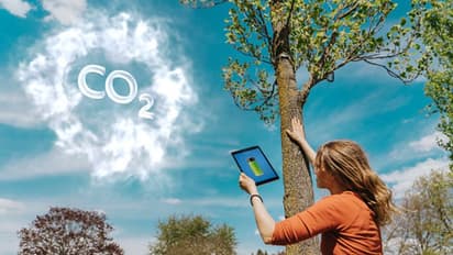 പ്രതിവര്ഷം 200 കോടി ടണ് കാര്ബണ് ഡൈ ഓക്സൈഡ് അന്തരീക്ഷത്തില് നിന്നും നീക്കം ചെയ്യപ്പെടുന്നതായി പഠനം