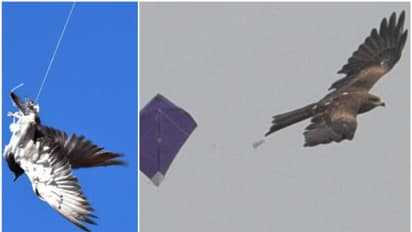 ഡൽഹി ഫയർ സർവീസ് ഒരു വര്‍ഷം രക്ഷിച്ചത് ഏഴായിരത്തിലേറെ ജീവനുകളെ ! 