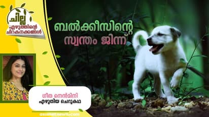 Malayalam Short Story : ബല്‍ക്കീസിന്‍റെ സ്വന്തം ജിന്ന്, ഗീത നെന്‍മിനി എഴുതിയ ചെറുകഥ