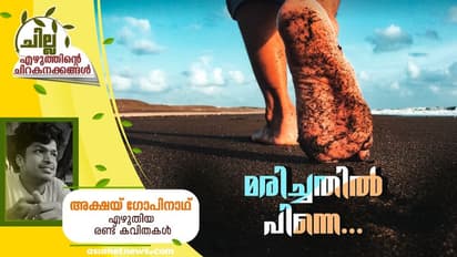 Malayalam Poem: മരിച്ചതില്‍ പിന്നെ..., അക്ഷയ് ഗോപിനാഥ് എഴുതിയ രണ്ട് കവിതകള്‍