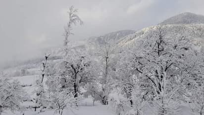 ವಾವ್ಹ್‌..ಸ್ವರ್ಗವೇ ಧರೆಗಿಳಿದಂತೆ..ಮಂಜು ಹೊದ್ದು ಮಲಗಿದ ಸುಂದರ ಕಾಶ್ಮೀರ