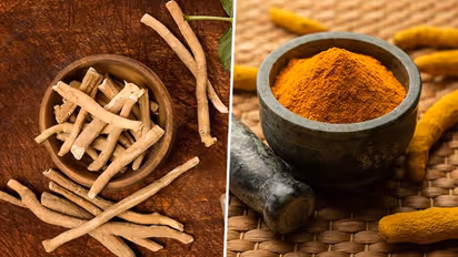 Indian herbs that can boost your mental health in this season