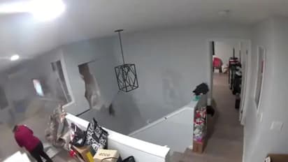 ദാരുണമായ മരണത്തില് നിന്ന് തലനാരിഴയ്ക്ക് രക്ഷപ്പെട്ട് യുവതി; ഭയപ്പെടുത്തും ഈ വീഡിയോ...