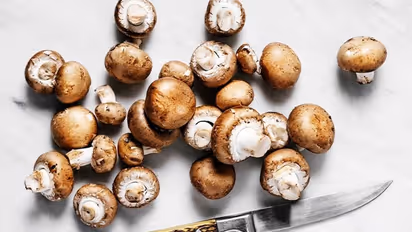 Australia legalise use of MDMA and magic mushrooms from July 1 to treat mental health