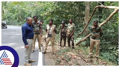 ಕೊಡಗಿನ ಮಾಕುಟ್ಟ ಅರಣ್ಯ ಪ್ರದೇಶದಲ್ಲಿ ತ್ಯಾಜ್ಯ ಸುರಿಯುತ್ತಿರುವ ಕೇರಳಿಗರು!