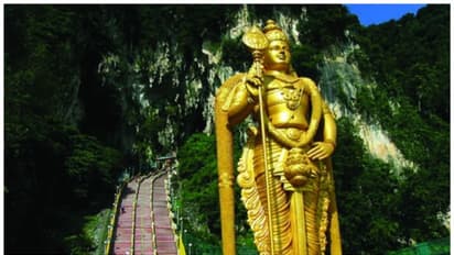 Thaipusam 2023 : സുബ്രഹ്മണ്യന് ഏറെ പ്രിയങ്കരം, തൈപൂയ ആഘോഷം; കൂടുതലറിയാം