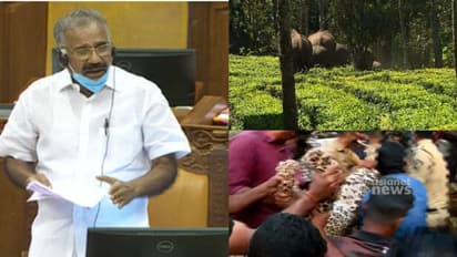 'വന്യജീവിശല്യം നേരിടാന്‍ വനംവകുപ്പ് ജീവനക്കാർ രാപ്പകൽ അധ്വാനിക്കുന്നു,അവരുടെ ആത്മവീര്യം കെടുത്തരുത്'