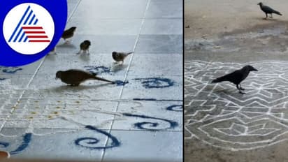 Importance of Rangoli: ರಂಗೋಲಿ ಹಾಕಿದ್ರೆ ಗ್ರಹದೋಷಗಳೆಲ್ಲ ಹೋಗುತ್ತೆ, ಆದ್ರೆ ಈ ವಿಷ್ಯ ಕಾಳಜಿ ವಹಿಸಿ