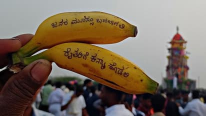 ರೈತರಿಗೆ ಕನ್ಯೆ ಕೊಡಲಿ, ಜನರ ಮನಸ್ಸು ಬದಲಾಗಲಿ: ಬಾಳೆಹಣ್ಣಿನ ಮೇಲೆ ಬರೆದು ರಥದ ಮೇಲೆ ಎಸೆದ ರೈತರು 