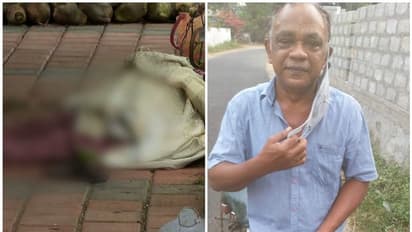 റിട്ടയേർഡ് അധ്യാപികയെ തലക്കടിച്ച് കൊന്ന് ആഭരണങ്ങൾ തട്ടിയെടുത്തു; പ്രതി അറസ്റ്റില്