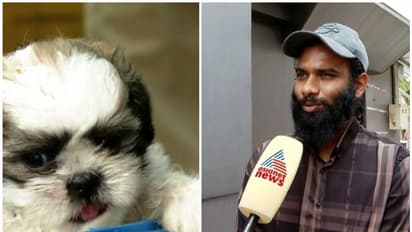 പട്ടിക്കുട്ടിയെ തട്ടിക്കൊണ്ട് പോയ സംഭവം; പ്രതികളോട് ക്ഷമിച്ചെന്ന് പെറ്റ് ഷോപ്പ് ഉടമ