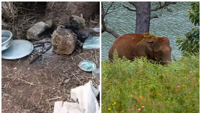 ഇടുക്കിയിൽ വീണ്ടും കാട്ടാന ആക്രമണം,വീട് ഭാഗികമായി തകർത്ത് അരിക്കൊമ്പൻ