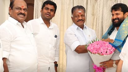 முடங்கும் நிலையில் இரட்டை இலை.! சமரச பேச்சு நடத்தும் பாஜக.! இபிஎஸ்யை தொடர்ந்து ஓபிஎஸ்யையும் சந்தித்த அண்ணாமலை