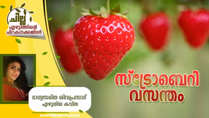 Malayalam Poem: സ്ട്രോബെറി വസന്തം, ഭാഗ്യസരിത ശിവപ്രസാദ് എഴുതിയ കവിത