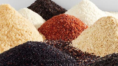 Healthy Rice: எந்த அரிசியை சாப்பிடுவது உடல் நலத்திற்கு நல்லது? ஊட்டச்சத்து நிபுணரின் விளக்கம் இதோ!