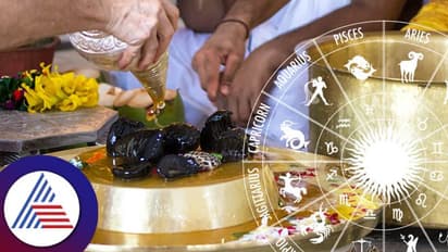 ಸಂಪತ್ತು, ಸುಖ ಪ್ರಾಪ್ತಿಗೆ ಸಾಲಿಗ್ರಾಮ ಪೂಜಿಸಿ