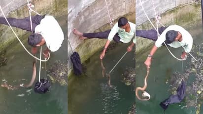 കിണറില് വീണ മൂര്ഖന് പാമ്പിനെ രക്ഷിക്കാന് കയറില് തൂങ്ങി യുവാവ്, ഞെട്ടിക്കും വീഡിയോ