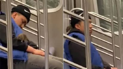 ദേഹത്ത് കയറി എലി, ഒന്നുമറിയാതെ യാത്രക്കാരന്റെ ഉറക്കം, ഒടുവിൽ സംഭവിച്ചത്, വൈറലായി വീഡിയോ