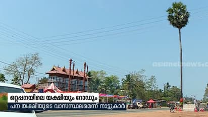 തോട്ടപ്പളളിയിലെ 'ഒറ്റപ്പന' മുറിക്കുന്നു; ദേശീയപാതാ അതോറിറ്റിക്ക് അനുമതി നല്‍കേണ്ടത് ഭഗവതിയും യക്ഷിയും!