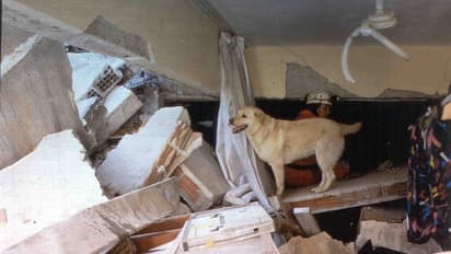 Turkey Earthquakes: 17 ஆயிரம் பேர் பலி! துருக்கியை உருக்குலைத்த பயங்கர நிலநடுக்கங்களின் வரலாறு