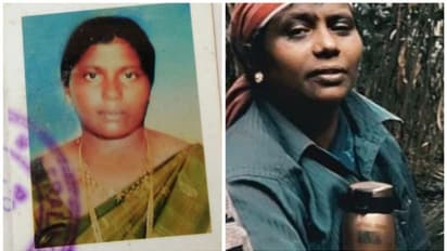 ഉണങ്ങിയ മരം മുറിയ്ക്കാന് നോക്കി; പിന്നീട് കേട്ടത് കൂട്ടനിലവിളി, മരിയക്ക് ജീവന് നഷ്ടമായത് നിമിഷ നേരം കൊണ്ട്