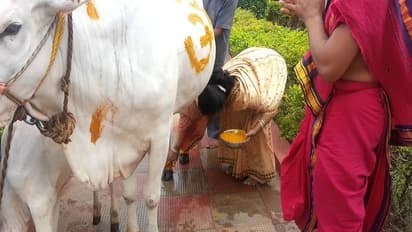 கள்ளகுறிச்சியில் 48 சீர்வரிசைகளுடன் கோவில் பசுவுக்கு வளைகாப்பு கொண்டாடிய பக்தர்கள்