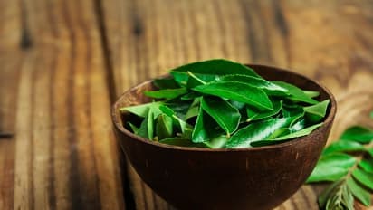 താരനകറ്റാൻ കറിവേപ്പില ; രണ്ട് രീതിയിൽ ഉപയോഗിക്കാം