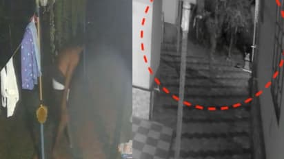 'വൈക്കത്ത് പമ്മി പമ്മി വന്ന കള്ളൻ', വീട്ടിൽ കയറി ഷേവ് ചെയ്തു, കശുവണ്ടിയും കഴിച്ച് മടങ്ങി, സിസിടിവിയൽ കുടുങ്ങി