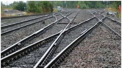 Man stabbed to death, placed body on railway tracks to stage suicide in Delhi; 4 arrested