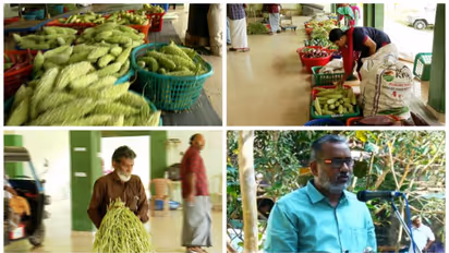 കർഷകരെ തുടർച്ചയായി പറ്റിച്ച് ഹോർട്ടികോർപ്പ്, കര്ഷകര്ക്ക് നൽകാനുള്ളത് 4.77 കോടി രൂപ