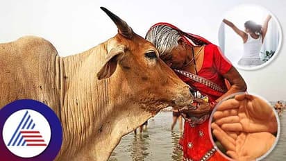 Good Morning Tips: ಹಸುವಿನ ಸೇವೆಯಿಂದ ಹಸನಾಗುವುದು ಬದುಕು..