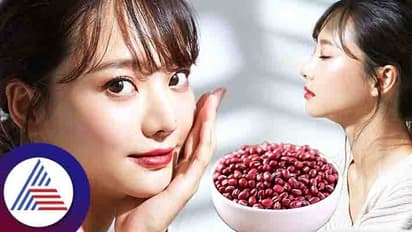 ಅಬ್ಬಾ ಶುದ್ಧ ಸೋಮಾರಿ! ಜಪಾನ್‌ನ ಈ ಟಿಪ್ಸ್ ಫಾಲೋ ಮಾಡಿದ್ರೆ ಸರಿ ಹೋಗ್ಬಹುದು!