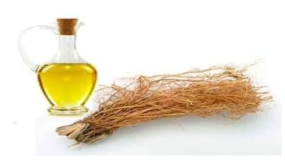 Chrysopogon root oil: வெட்டிவேர் எண்ணெயின் அற்புதப் பலன்களை பற்றித் தெரியுமா உங்களுக்கு?