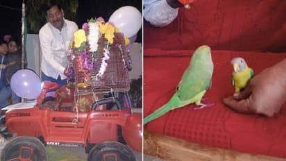 മധ്യപ്രദേശിൽ മൈനക്കും തത്തയ്ക്കും  കല്യാണം, പിന്നാലെ ഘോഷയാത്ര...