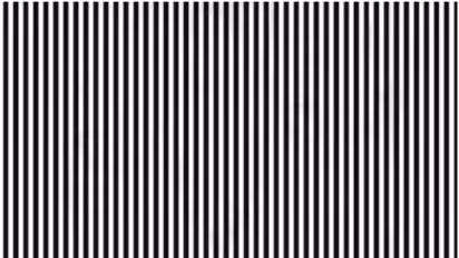 12 സെക്കന്റുകള്ക്കുള്ളില് ഈ ചിത്രത്തില് നിന്ന് ഒരു മൃഗത്തെ കണ്ടെത്താന് കഴിയുമോ?
